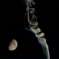 Rauch - Bild 268/365
